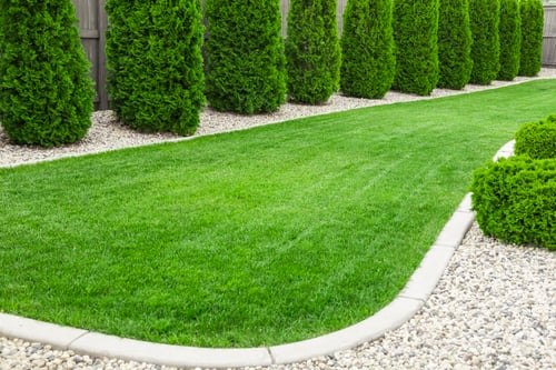 Freshly mowed lawn and planted beds at a Southwest Florida home